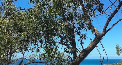 Tranquility Base @ Lorne