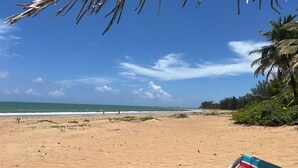 Una playa con cielos despejados, palmeras y una orilla arenosa.