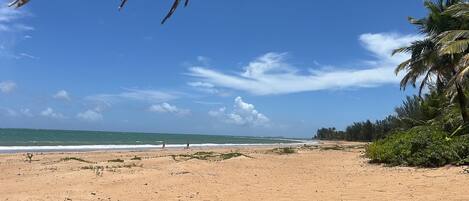 Una playa con cielos despejados, palmeras y una orilla arenosa.