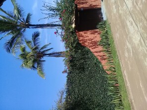 Área da propriedade