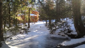 Una baita in una foresta con terreno e alberi innevati.