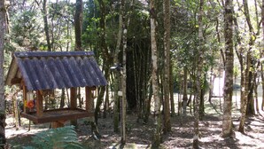 Una estructura rústica de casa de pájaros en un área boscosa, con una plataforma de madera y un techo de metal.