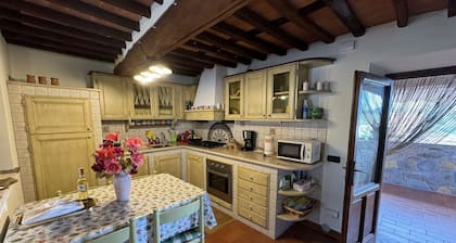 Belle maison de vacances avec climatisation, piscine privée, WIFI, TV, terrasse, prÚs de Lucques