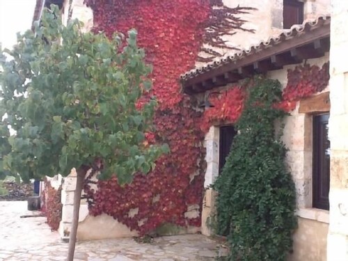 Casas Rurales Cinco Celemines pour 4 personnes
