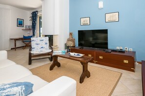Smart TV, fireplace, books