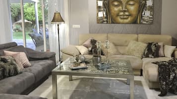 Télévision, cheminée, lecteur de DVD, livres