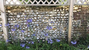 A garden with a stone wall, wooden posts, and blue flowers. - Close-by is a spacious pet friendly bungalow close to the Quay - a hidden gem (Blakeney)