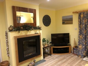 Smart TV, chimenea, reproductor de DVD y libros