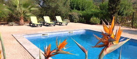 A swimming pool with a tiled edge, surrounded by a paved area with lounge chairs and various plants.