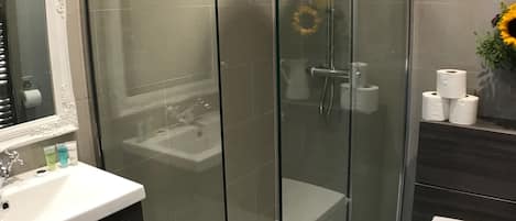 Shower, hair dryer, towels, toilet paper