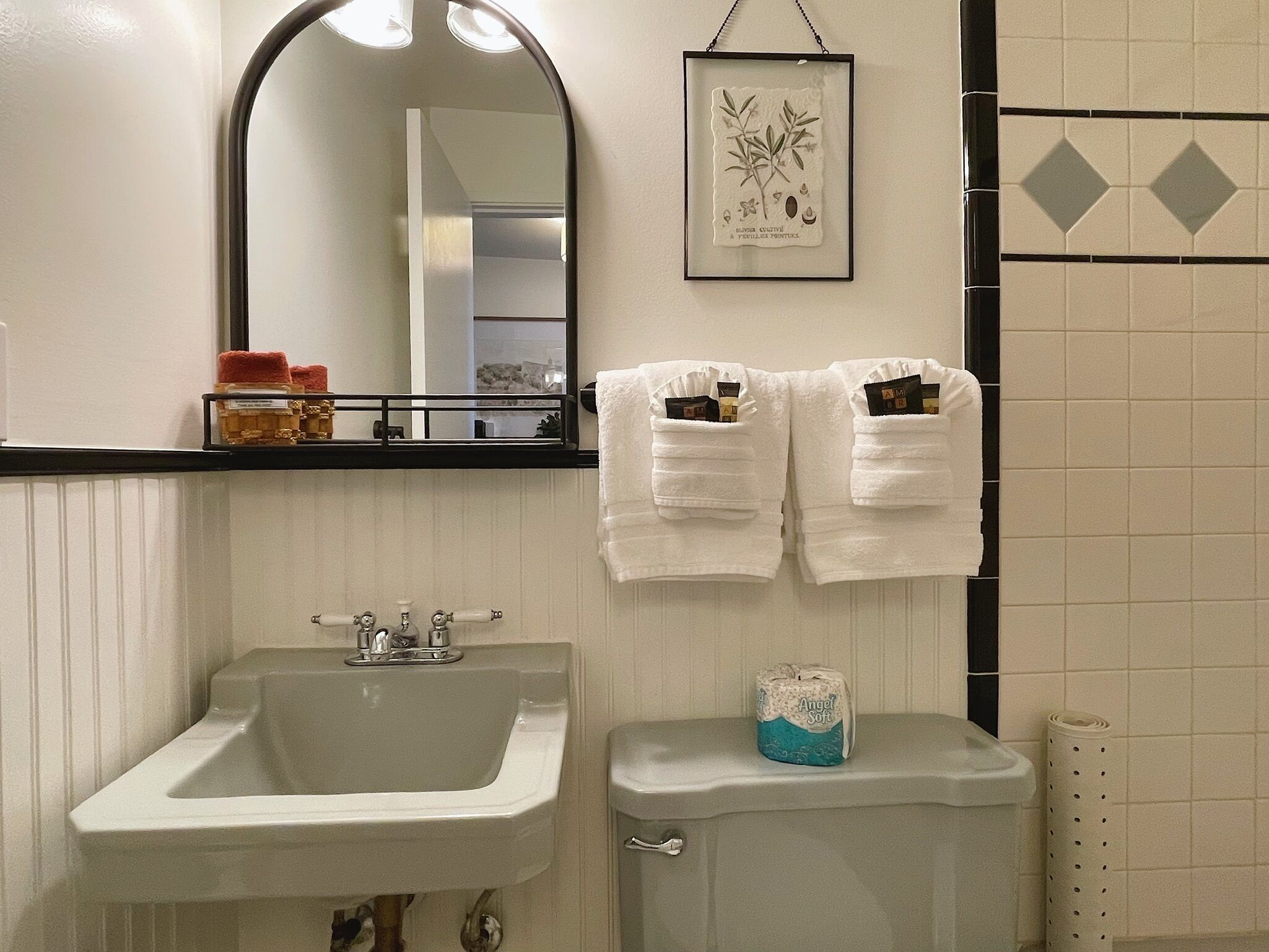 Un baño con lavamanos, espejo, impresión botánica enmarcada, toallas y papel higiénico.