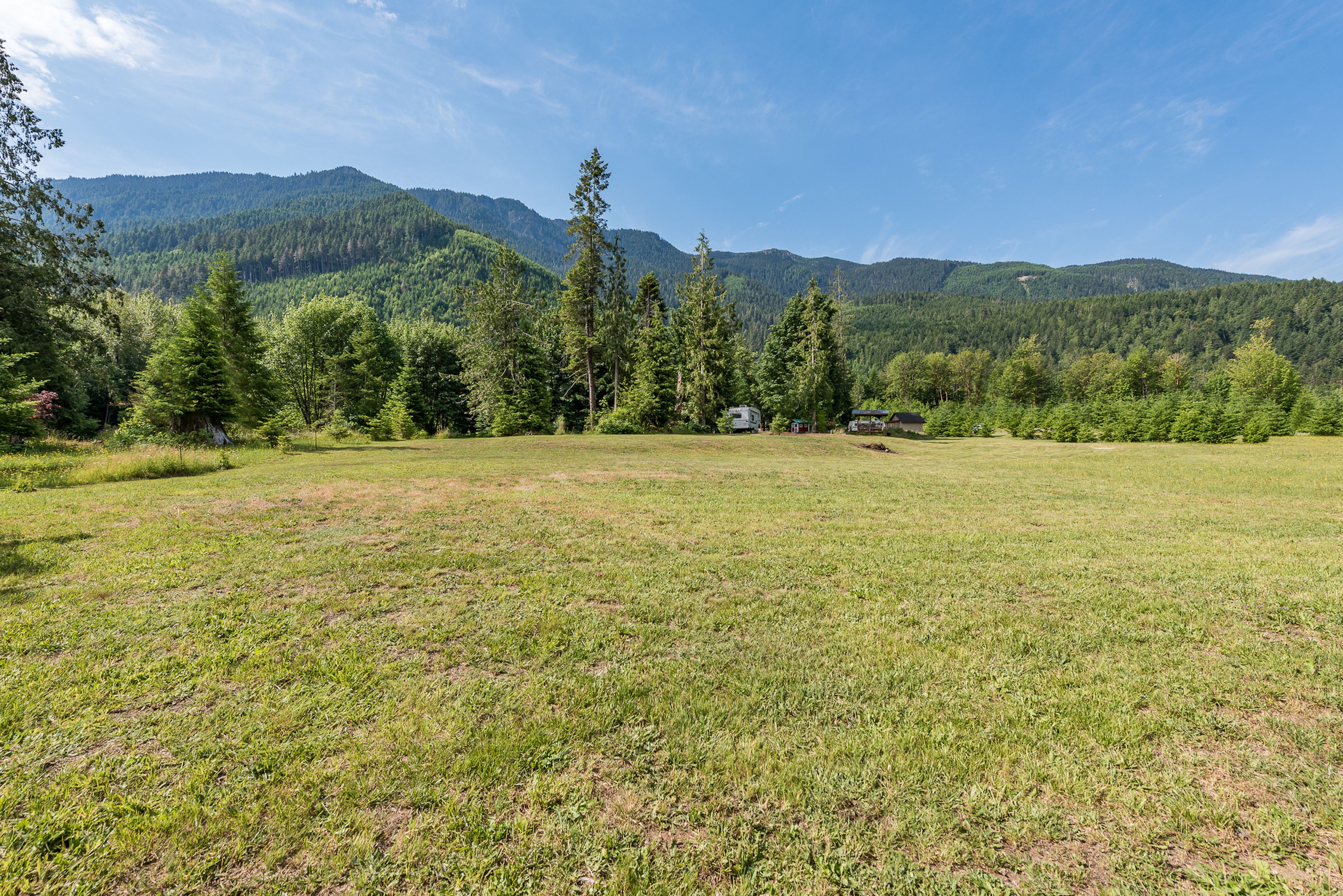 A grassy field with trees and a mountain in the background.