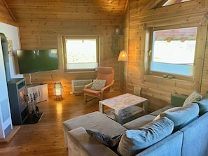 Smart-TV, Kamin