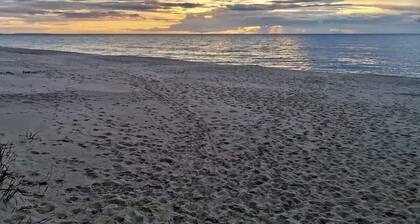 Amber House Kolczewo | Large house with a Terrace and 5 Bedrooms | Parking | Ideal for Families and Groups