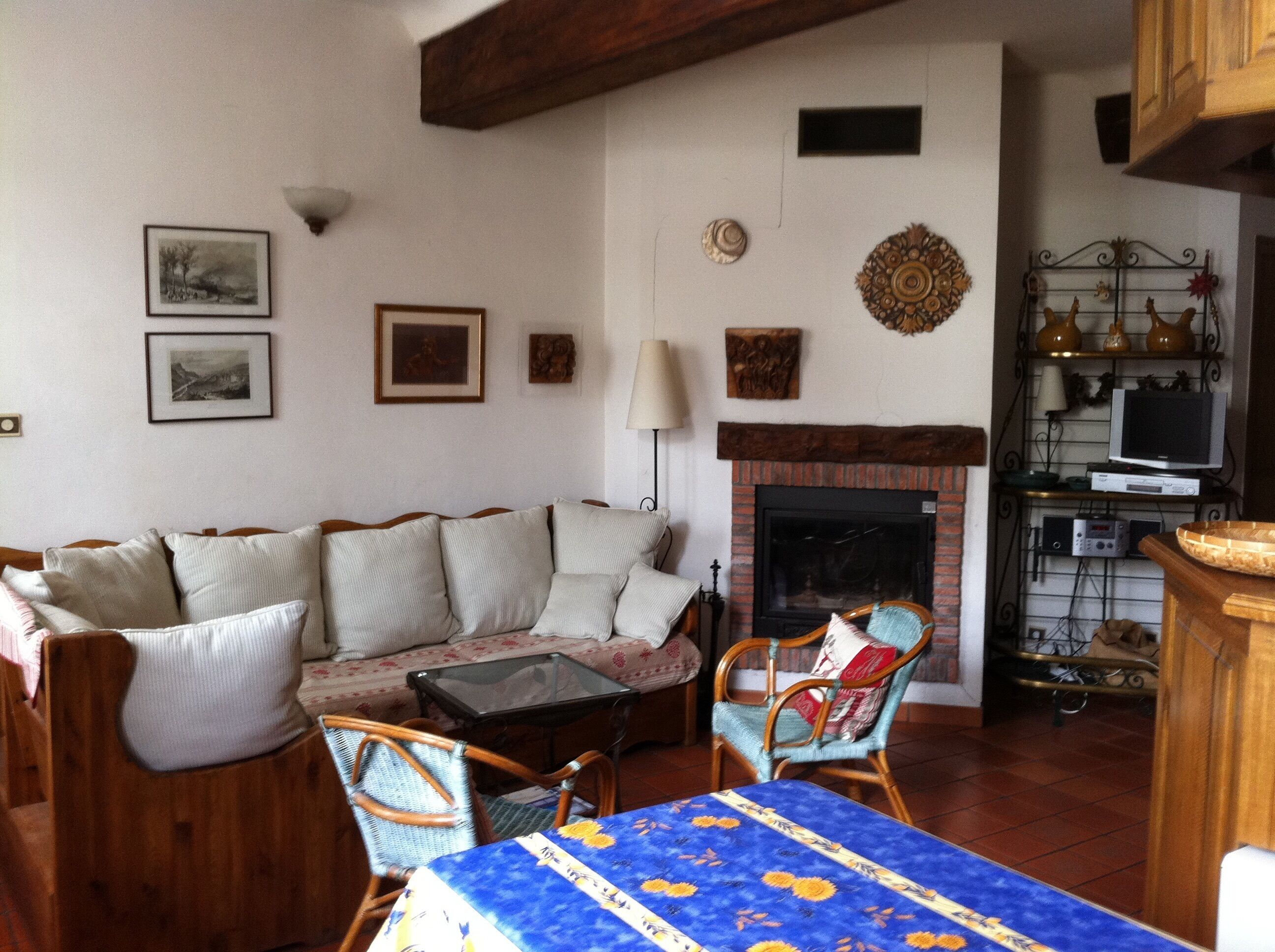 TV, fireplace, books, music library