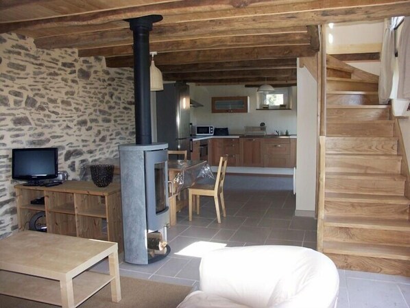 TV, fireplace, DVD player, books