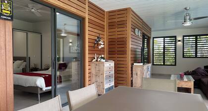 MAGNIFICENT NEW VILLA WITH POOL