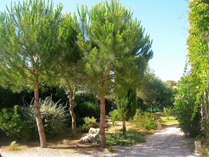 المنطقة المحيطة بالمنشأة