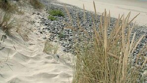 A beach with a rocky shoreline and dunes. -  Fisherman's house with exceptional view of the back port, close to the beaches (Treffiagat)