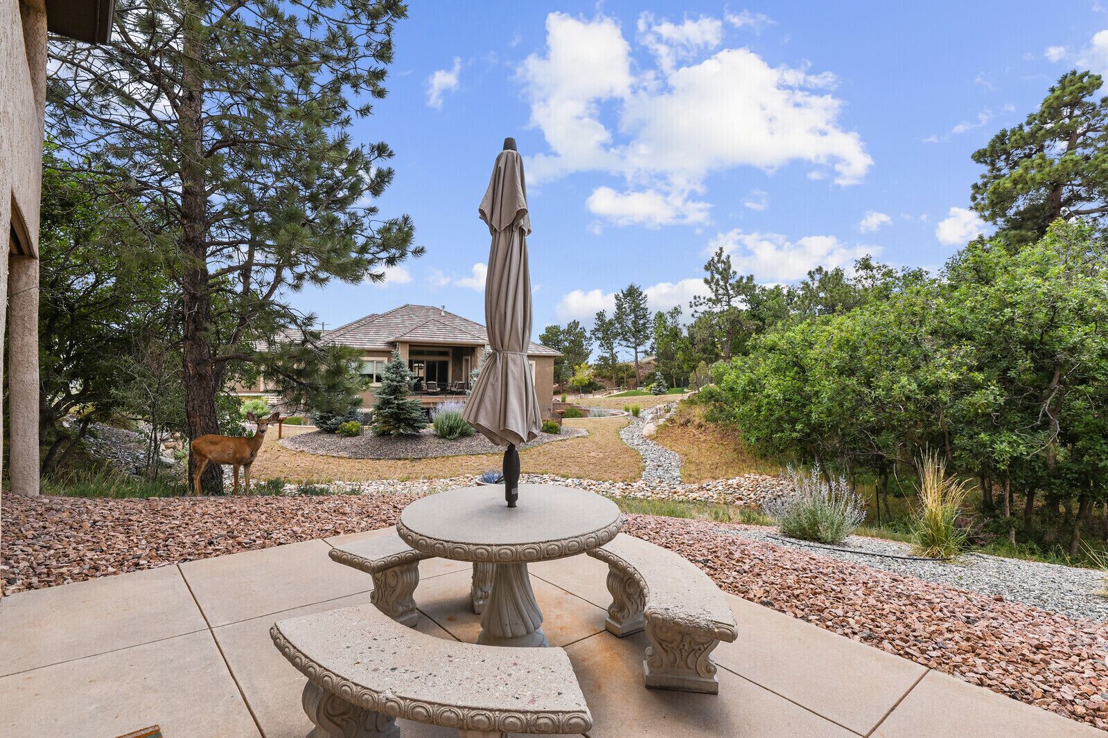 18+ Pond Plants Colorado Springs