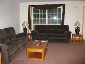 TV, fireplace, DVD player, books