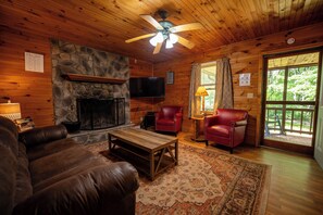 TV connectée, cheminée, lecteur de DVD