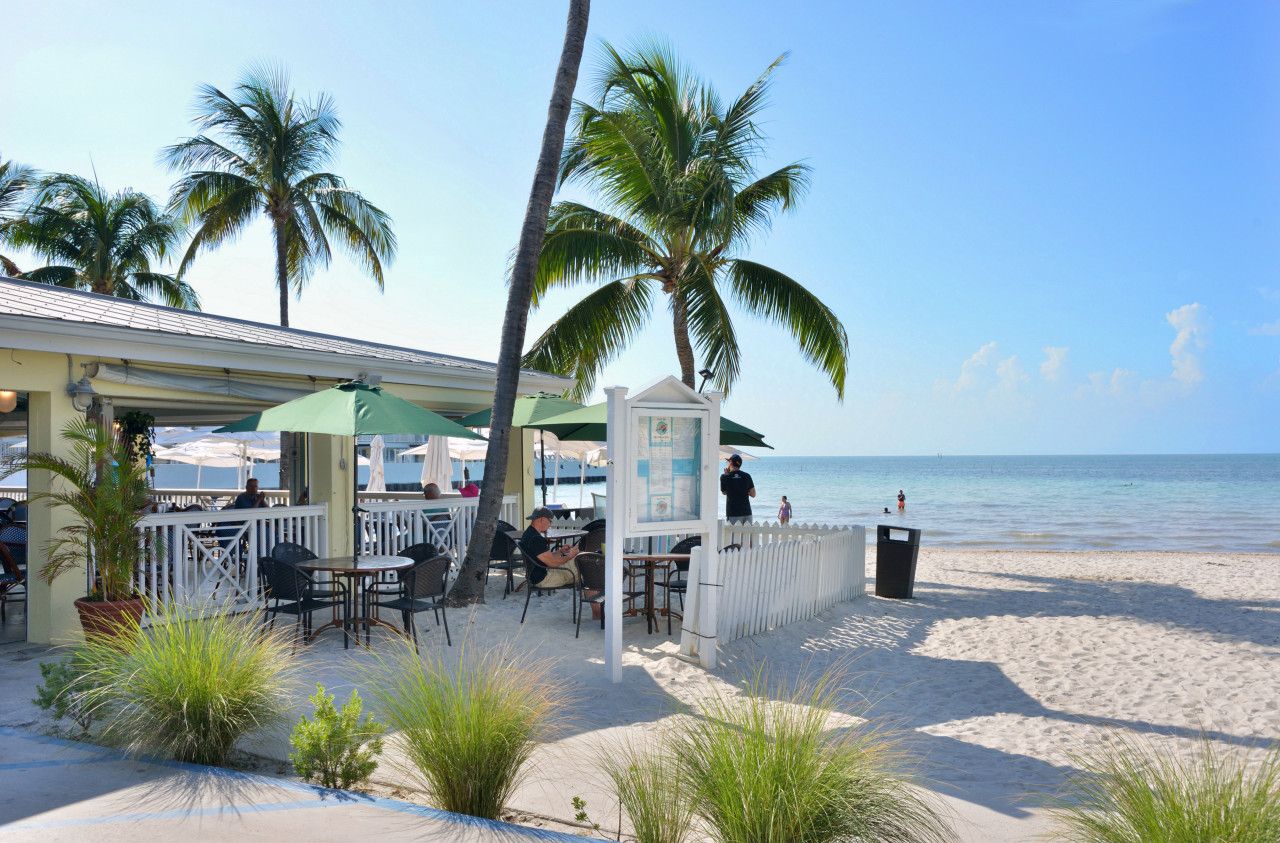 A beachfront restaurant with outdoor seating, palm trees, and a view of the ocean.