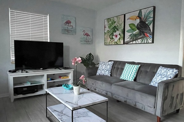 Smart TV, reproductor de DVD y libros