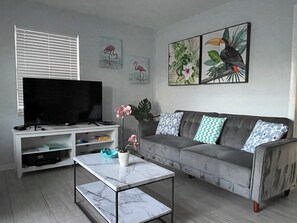 Smart TV, DVD player, books