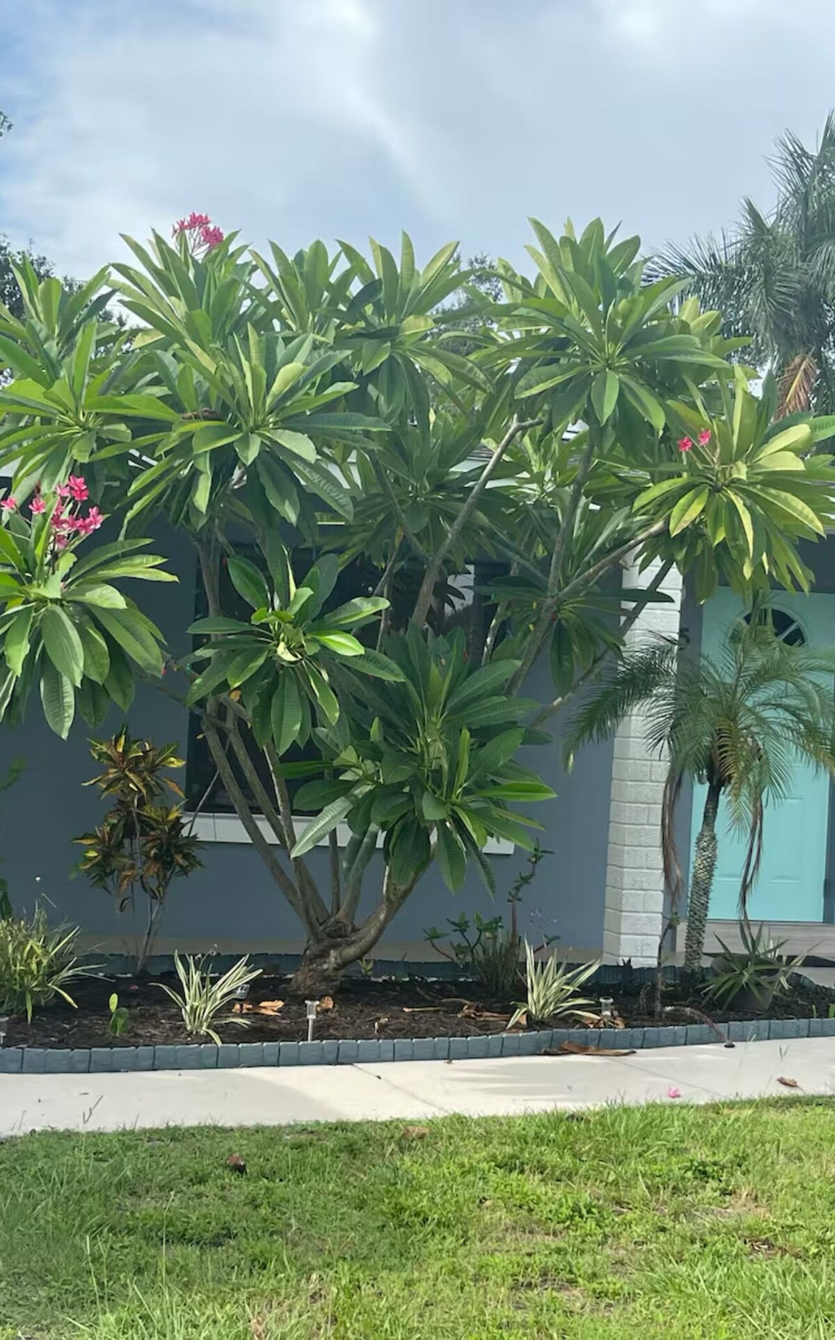 Imagem do perfil do anfitrião