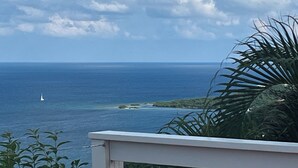 A view of the ocean with a sailboat, a clear sky, and a palm tree in the foreground. - Mesmerizing view with pool 2 bedroom stone cottage in Coral Bay (St John)