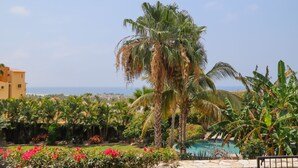 Un jardín tropical con una palmera, una piscina y vistas al océano.