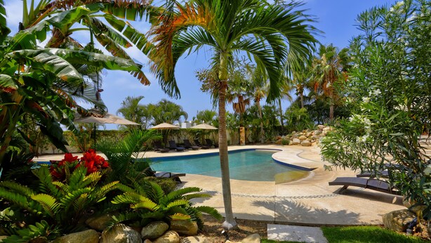 Zona de piscina con palmeras, sillas de descanso y cielo despejado.