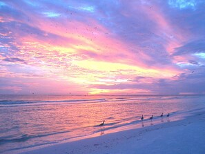 On the beach, sun-loungers, beach towels - Siesta Key 5th Floor Center Front Condo on Crescent Beach 180' Panoramic Views (Sarasota)