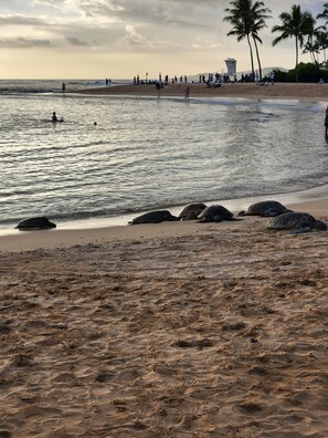 En la playa y camastros 