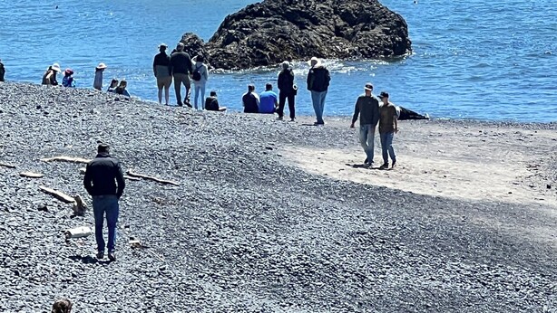 A rocky coastline with people walking and sitting on the beach. - ★Family Friendly, Safe, Amenities, 3 bedrms/3 baths,WIFI, Parking (Portland)