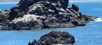 ★ Alberta Arts ★ Perfekt für Gruppen ★ (3 Bäder) Die heißeste Nachbarschaft von Portland