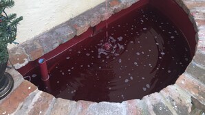Una cabeza de león de piedra decorativa fijada en una pared, un pequeño elemento acuático con un cuenco rojo y un repisa de ladrillo.