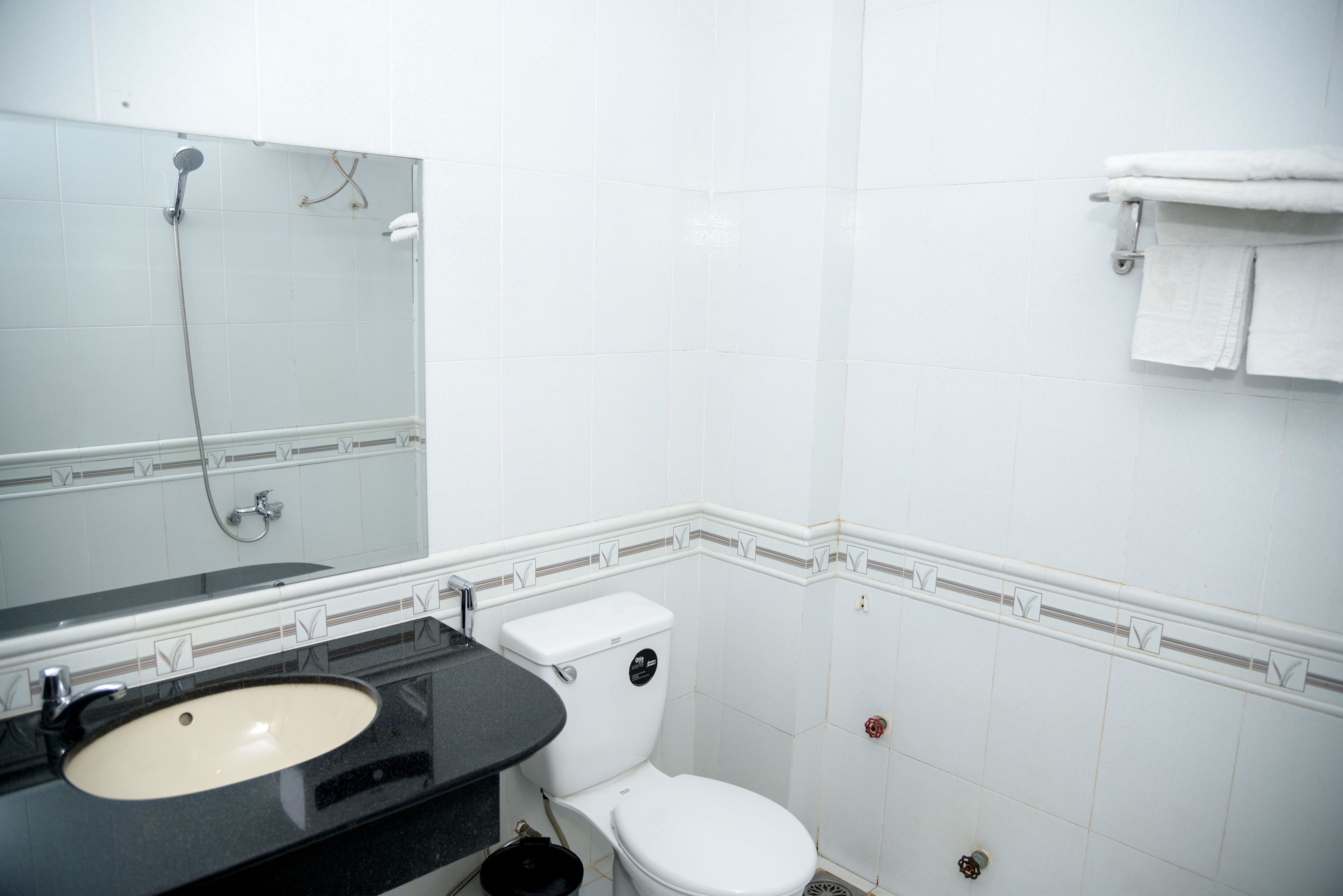 A bathroom with a sink, toilet, and shower.