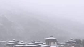 City view from property