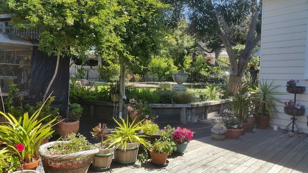 A garden with various potted plants and a small pond. - Independent holiday unit (Bicheno)
