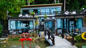 A modern building with a glass facade, a wooden deck, and a pond with flamingos.