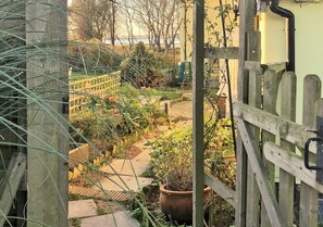 Stroll through this serene garden, surrounded by lush plants and a tranquil pathway.