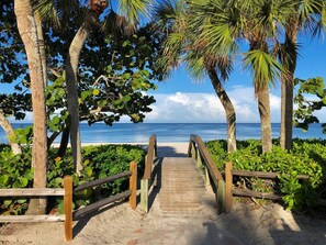 A wooden pathway leading to a beach with palm trees and ocean views.