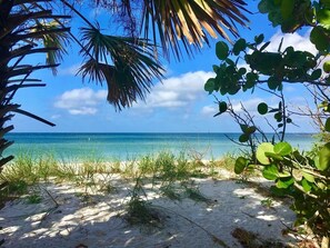 Beach nearby, sun-loungers, beach towels