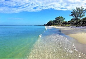 A beach with clear water, a sandy shore, and trees along the coastline. - 5 bedrooms / 4 bathrooms / waterfront / heated pool & whirlpool / south facing (Cape Coral)