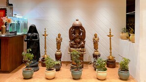 Une pièce avec un plafond en bois, une statue et plusieurs plantes en pot.