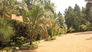A paved pathway lined with palm trees and other greenery, leading towards a building with a beige facade. - Saltek Forest cottages (Masindi)