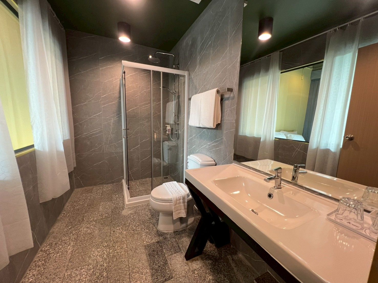A modern bathroom with a glass-enclosed shower, a large sink with a mirror, and a toilet.