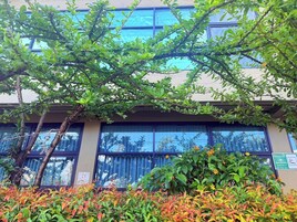 32-英寸纯平电视 （配备有线频道）、电视